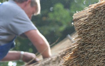 professional Shalford thatchers